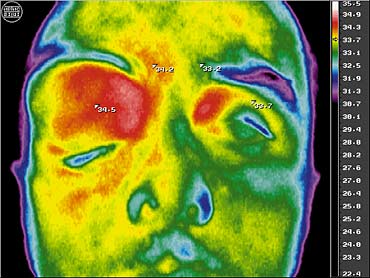 термограмма лица человека биометрические системы