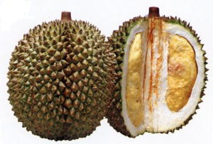 durian.jpg