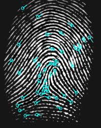 отпечаток пальца биометрические системы