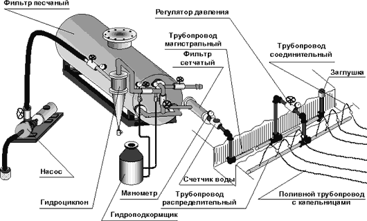 Капельный полив