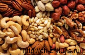 Польза орехов – орех ореху рознь