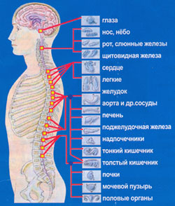 Лечение позвоночника