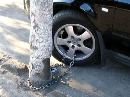 Автомобиль привязанный к дереву цепью