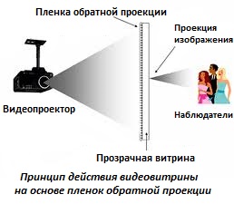 Видеовитрина обратной проекции